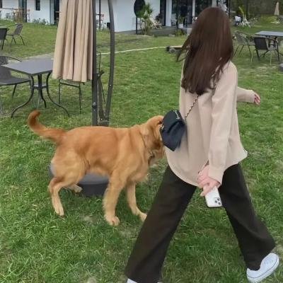 新楚留香